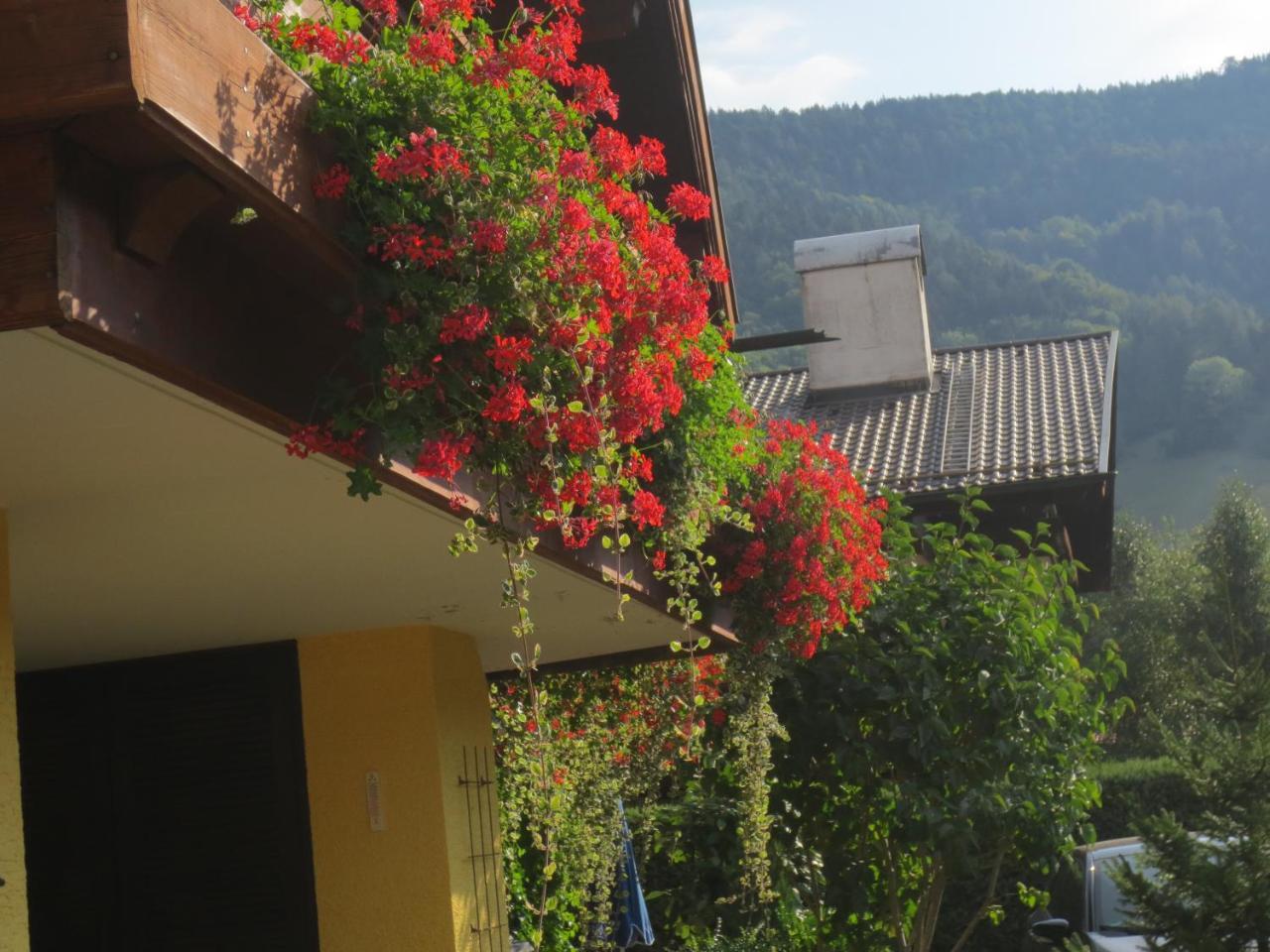 Hotel Alp Inn - Chiemgaukarte Inclusive Ruhpolding Exteriér fotografie